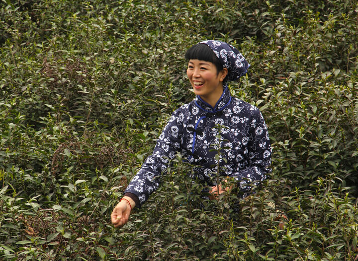 进击的巨人
